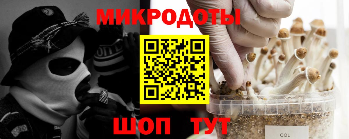 Галлюциногенные грибы мицелий  Вход с VPN  наркота  Ижевск 